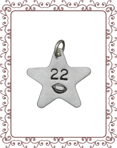 large charm charm 1-A: large silver star